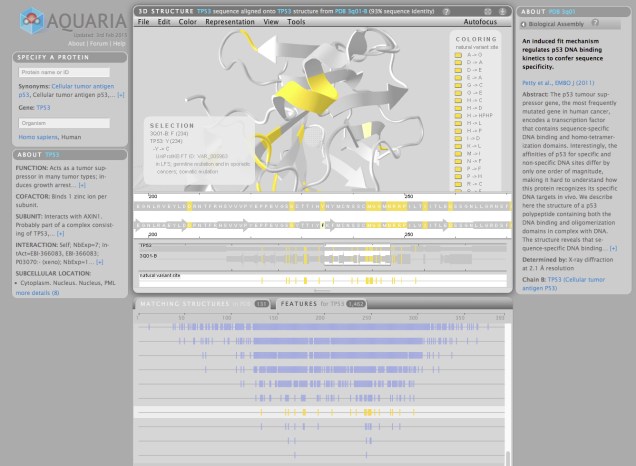 A screen grab from Aquaria showing the selection of one feature track of genetic variants from UniProt and the corresponding highlighted residues (yellow) in TP53. 